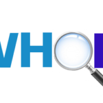 Que es y Como funciona Whois