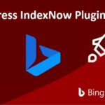 Indexacion automática en Wordpress con IndexNow 4 Indexacion automática en Wordpress con IndexNow